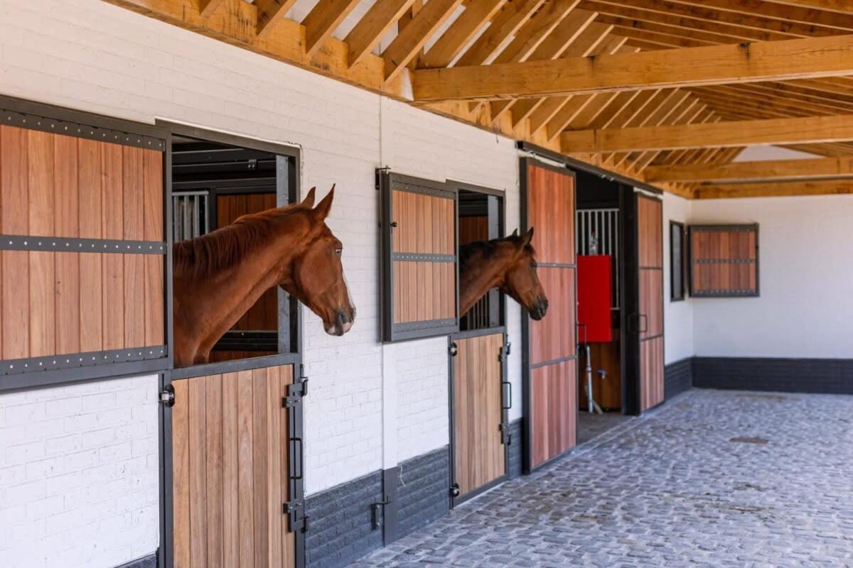 Huswell - Lady - Lovely Double Room At Ranch De Blauwe Zaal Bruges Luaran gambar